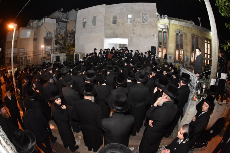 יהודה פרקוביץ