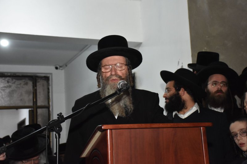 יהודה פרקוביץ