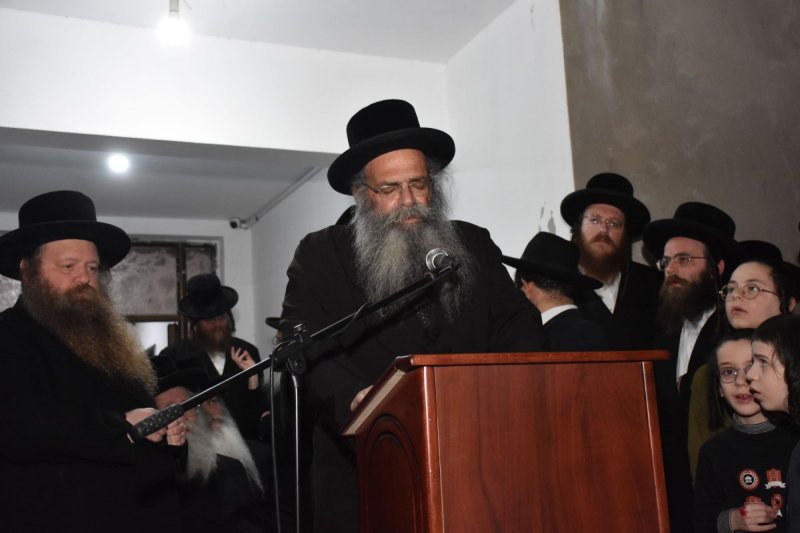 יהודה פרקוביץ