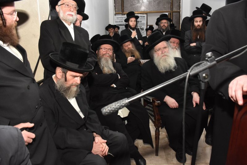 יהודה פרקוביץ