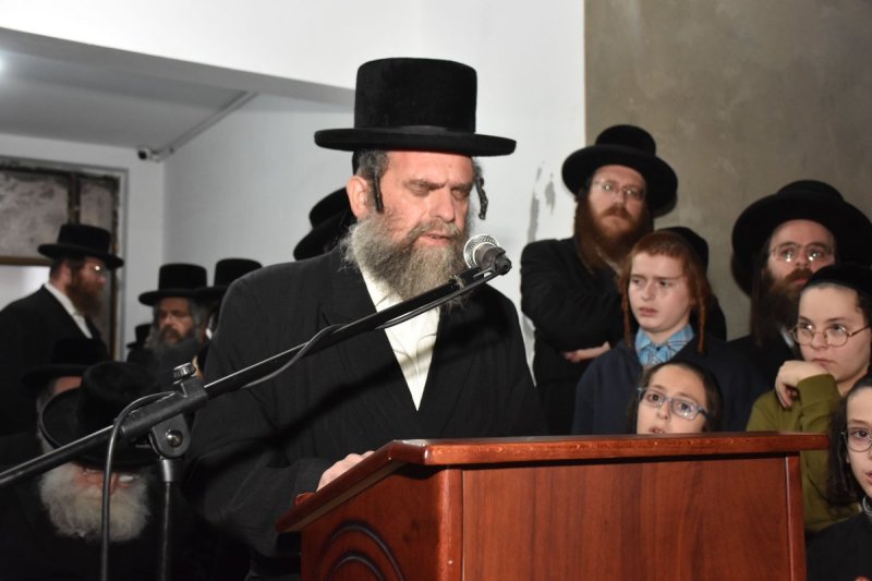 יהודה פרקוביץ