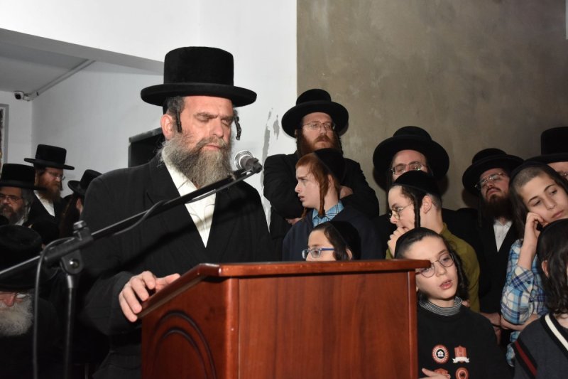 יהודה פרקוביץ