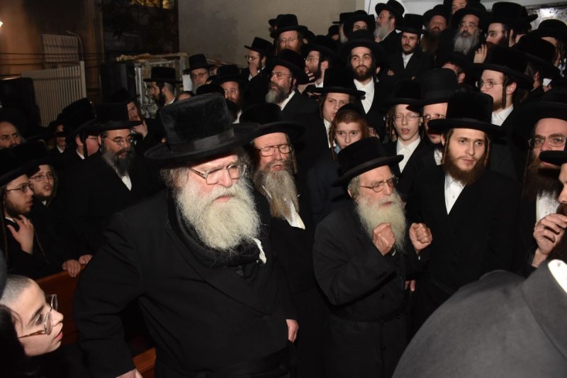 יהודה פרקוביץ