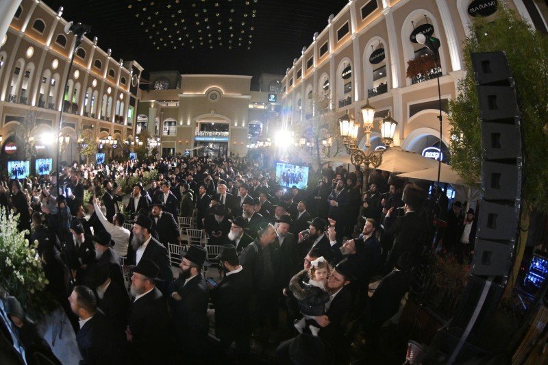 יהושע פרוכטר ויוסי בלוי