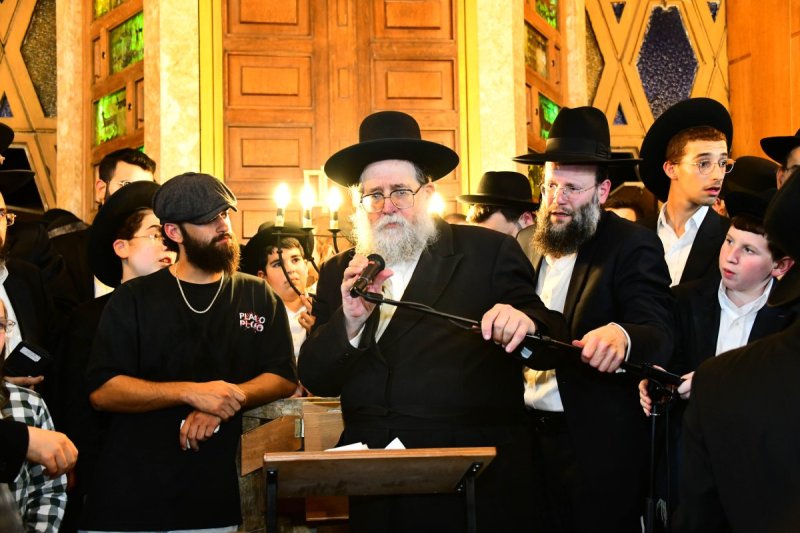שוקי לרר