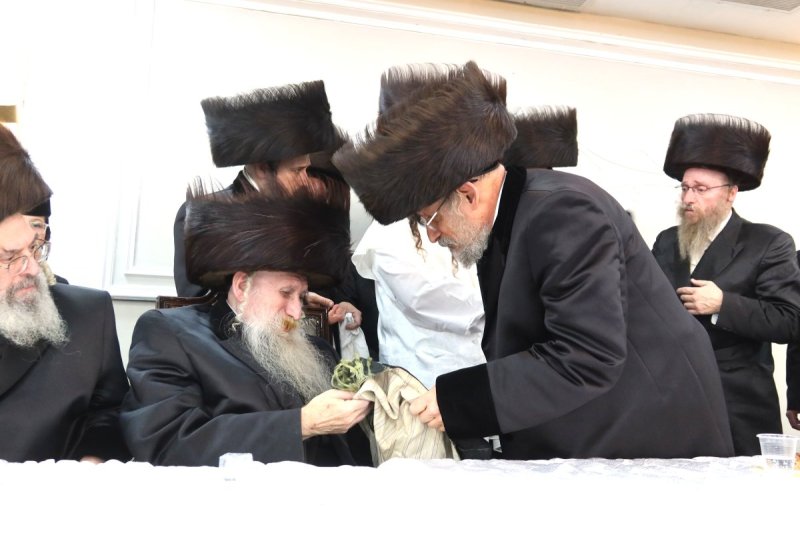 שימי פ.