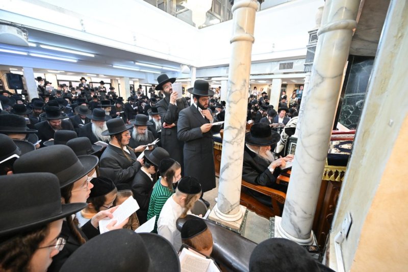 באדיבות המצלם