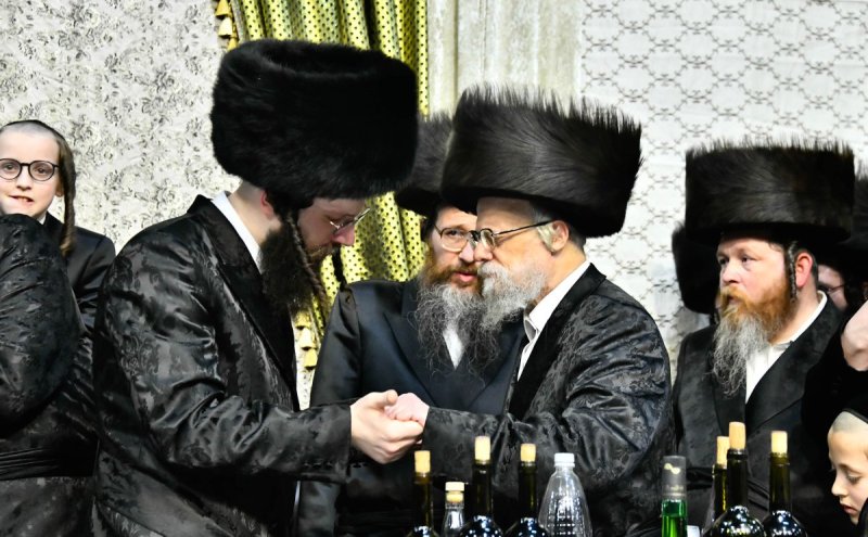 שוקי לרר