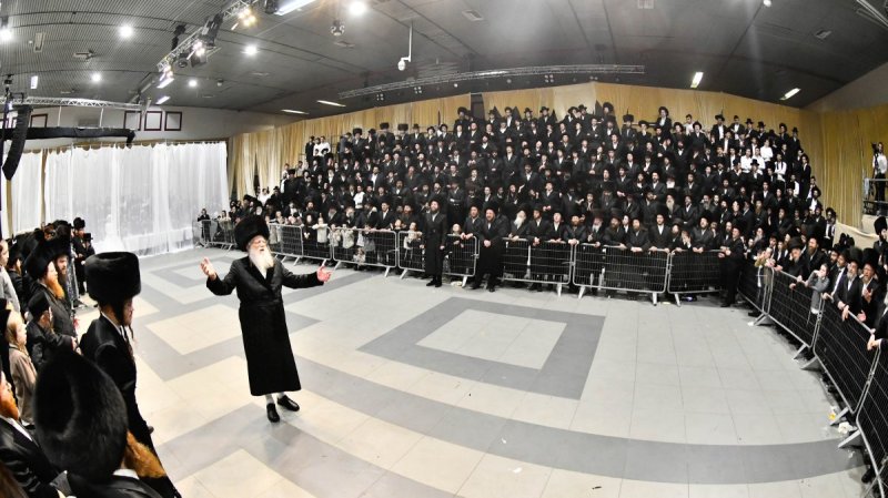 שוקי לרר