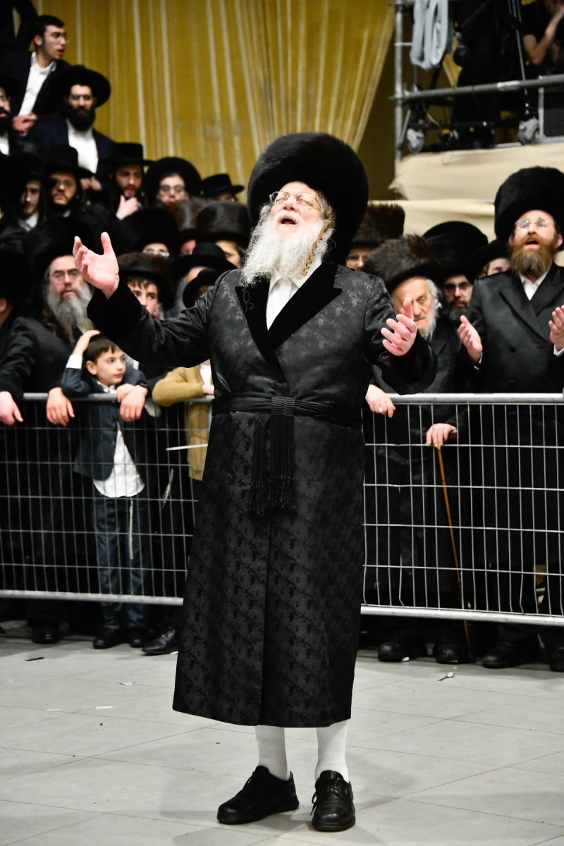 שוקי לרר