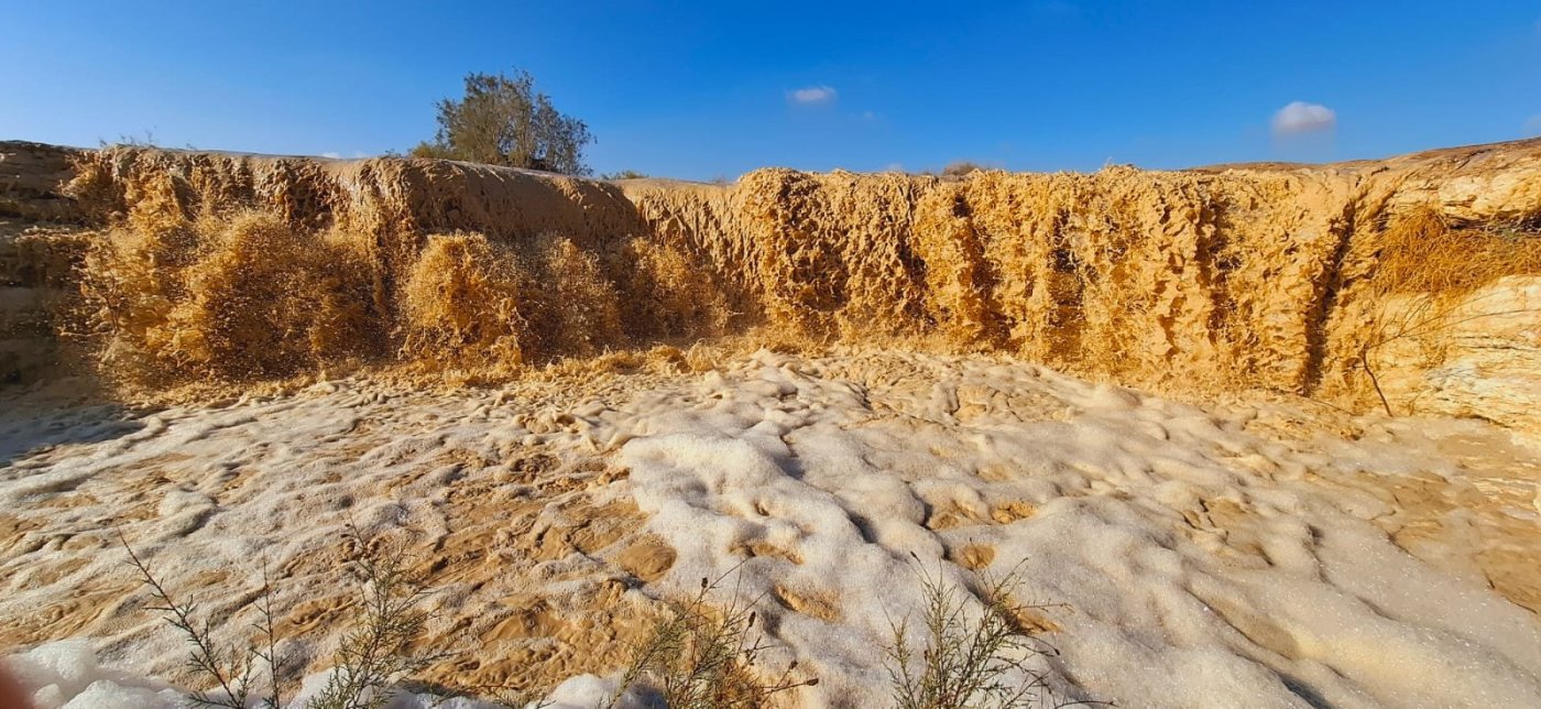 עמרם צברי רט"ג