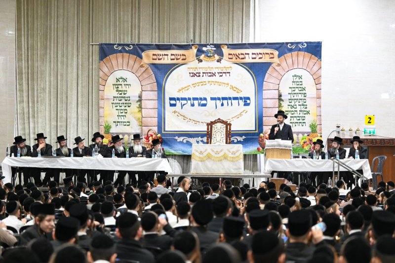 משה גולדשטיין