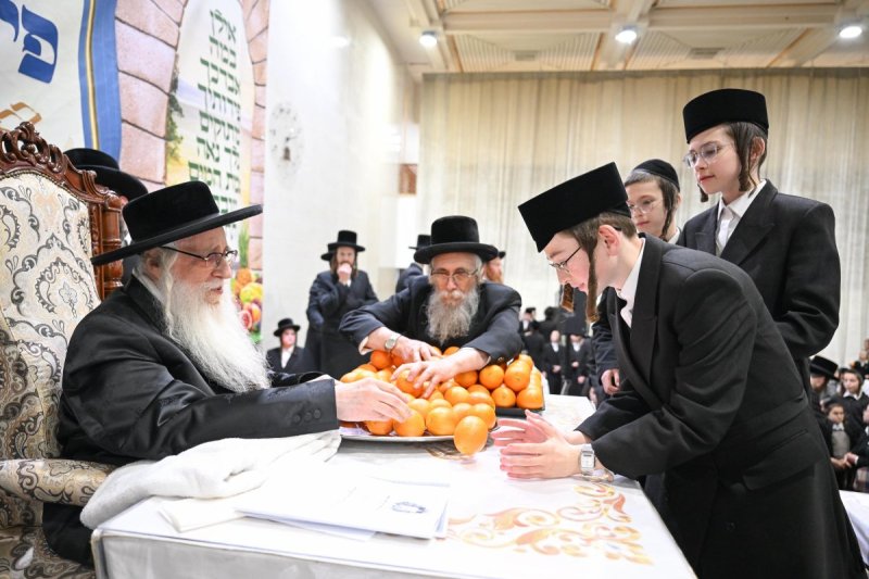 משה גולדשטיין