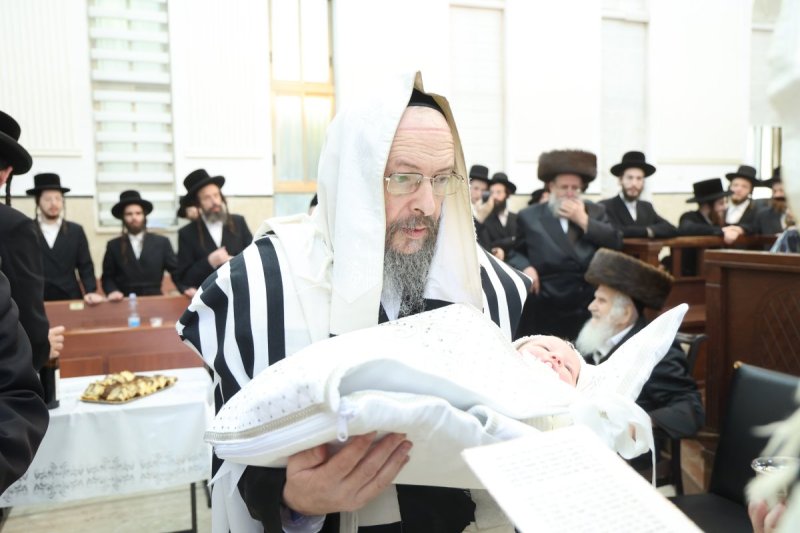 שלומי טריכטר