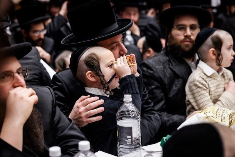 האחים לאנטשעווסקי, יוסי גולדברגר, אברומי בלום