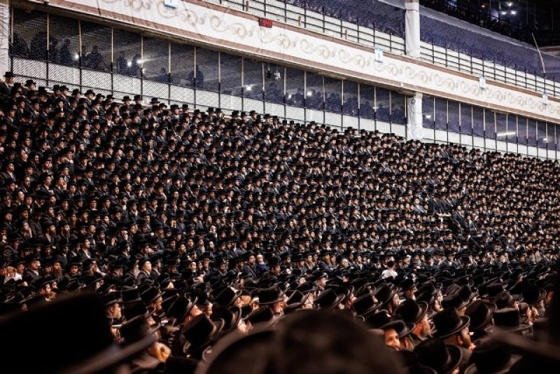 האחים לאנטשעווסקי, יוסי גולדברגר, אברומי בלום