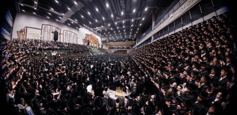 האחים לאנטשעווסקי, יוסי גולדברגר, אברומי בלום
