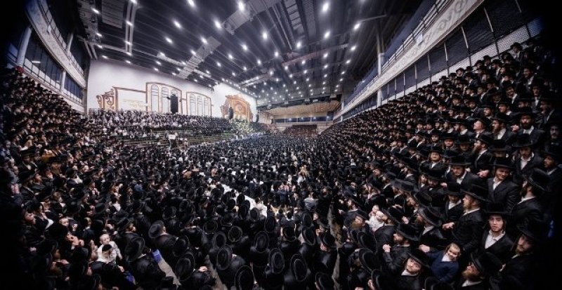 האחים לאנטשעווסקי, יוסי גולדברגר, אברומי בלום