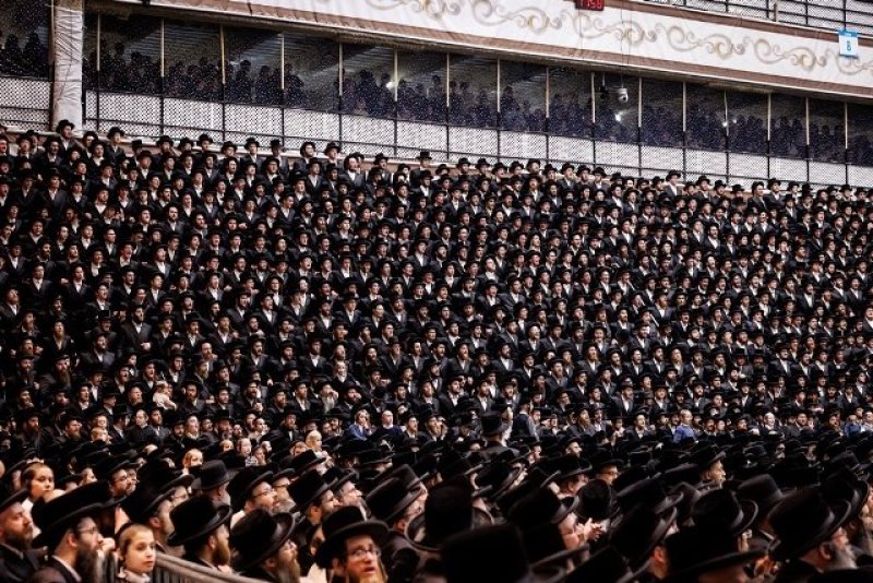 האחים לאנטשעווסקי, יוסי גולדברגר, אברומי בלום