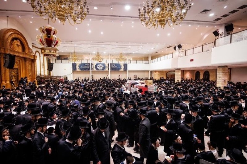 האחים לאנטשעווסקי, יוסי גולדברגר, אברומי בלום