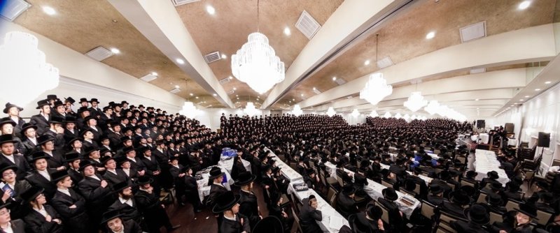 האחים לאנטשעווסקי, יוסי גולדברגר, אברומי בלום