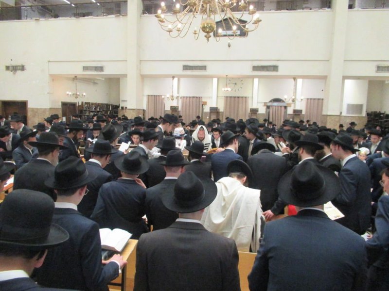 באדיבות המצלם