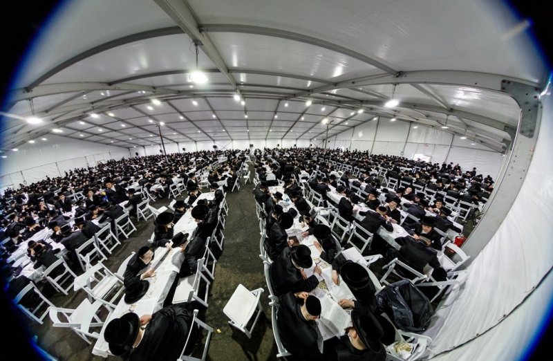 האחים לאנטשעווסקי, יוסי גולדברגר, אברומי בלום