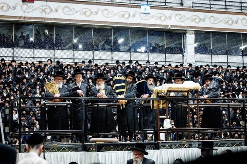 האחים לאנטשעווסקי, יוסי גולדברגר, אברומי בלום