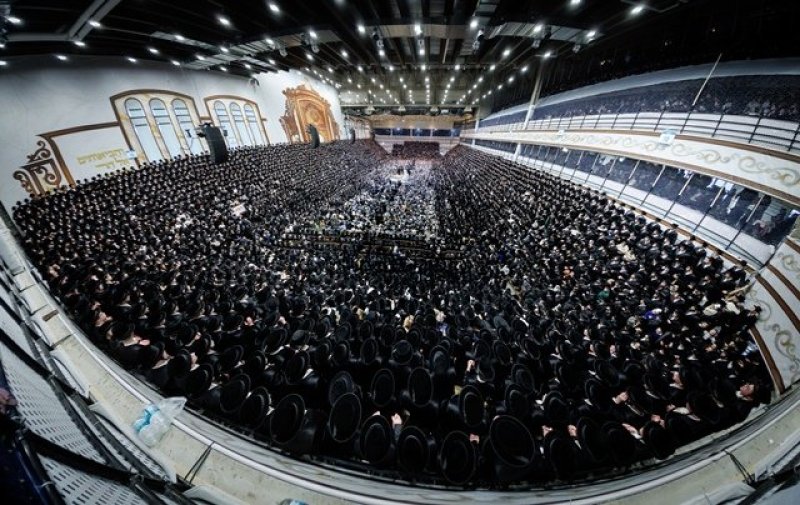 האחים לאנטשעווסקי, יוסי גולדברגר, אברומי בלום