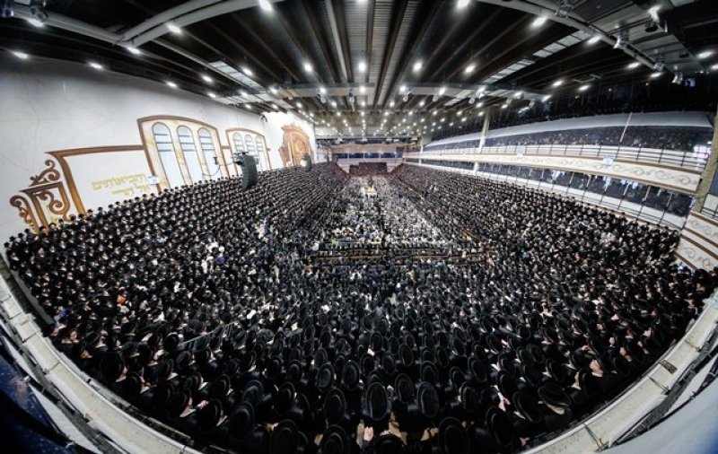 האחים לאנטשעווסקי, יוסי גולדברגר, אברומי בלום