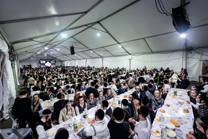 האחים לאנטשעווסקי, יוסי גולדברגר, אברומי בלום