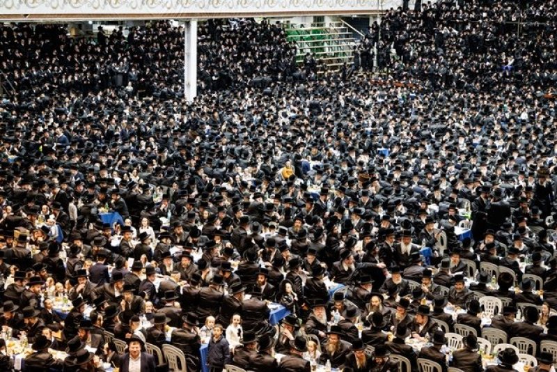 האחים לאנטשעווסקי, יוסי גולדברגר, אברומי בלום