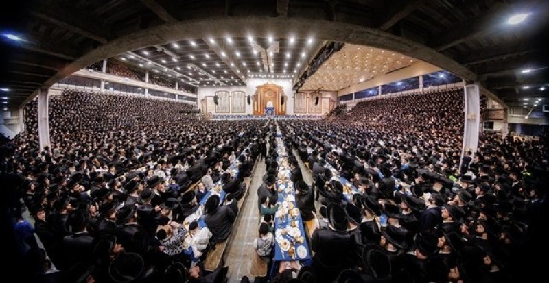 האחים לאנטשעווסקי, יוסי גולדברגר, אברומי בלום