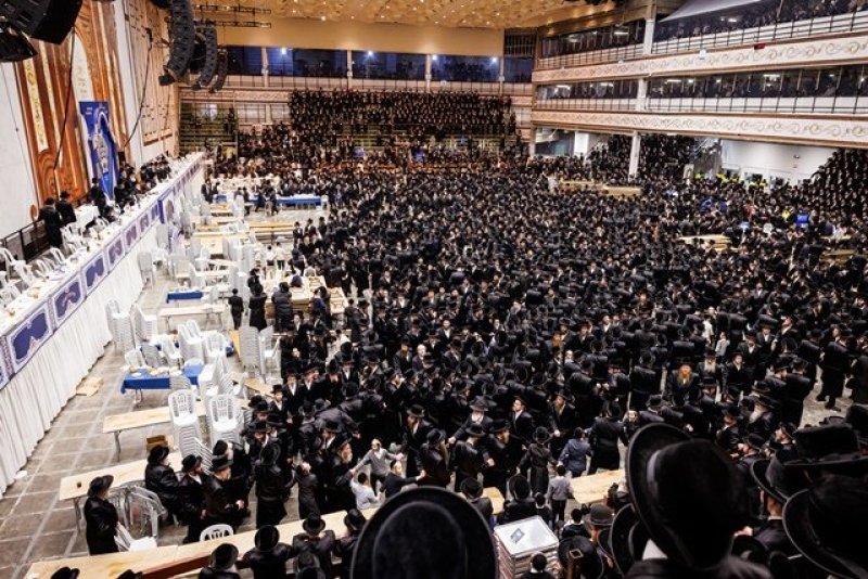 האחים לאנטשעווסקי, יוסי גולדברגר, אברומי בלום