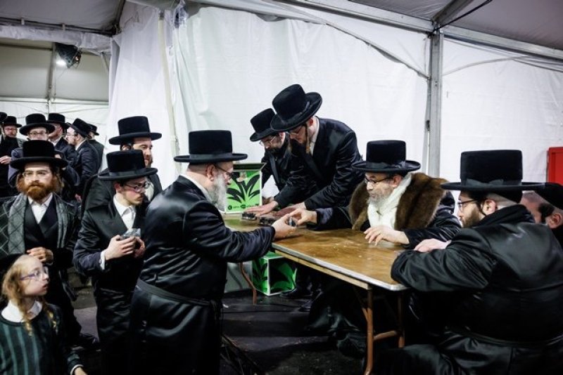 האחים לאנטשעווסקי, יוסי גולדברגר, אברומי בלום