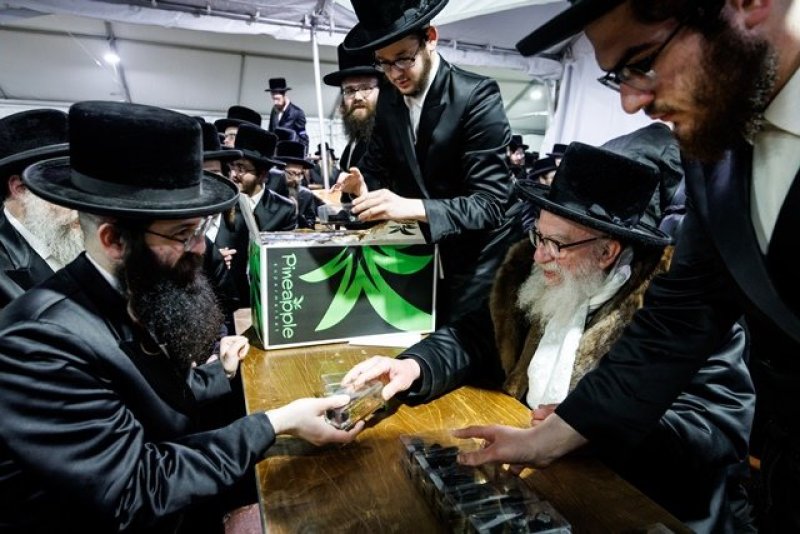 האחים לאנטשעווסקי, יוסי גולדברגר, אברומי בלום