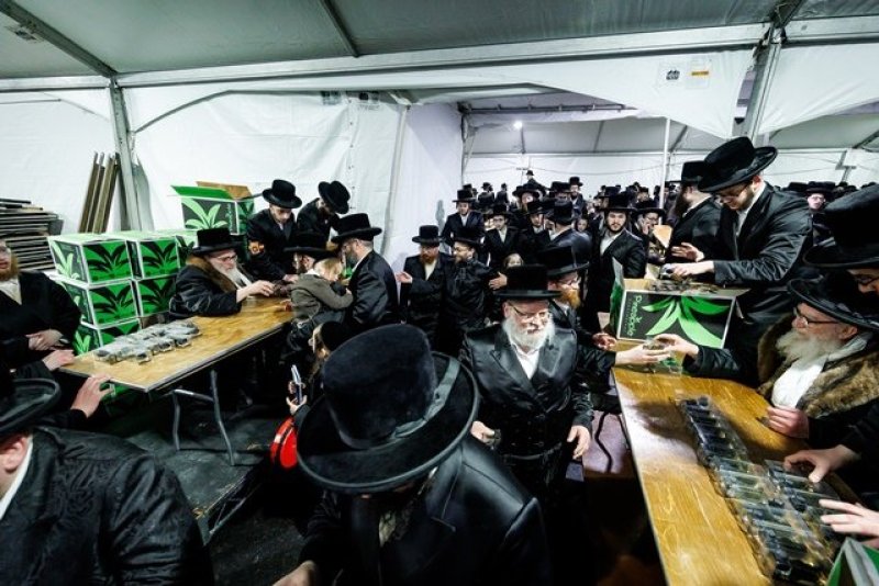 האחים לאנטשעווסקי, יוסי גולדברגר, אברומי בלום