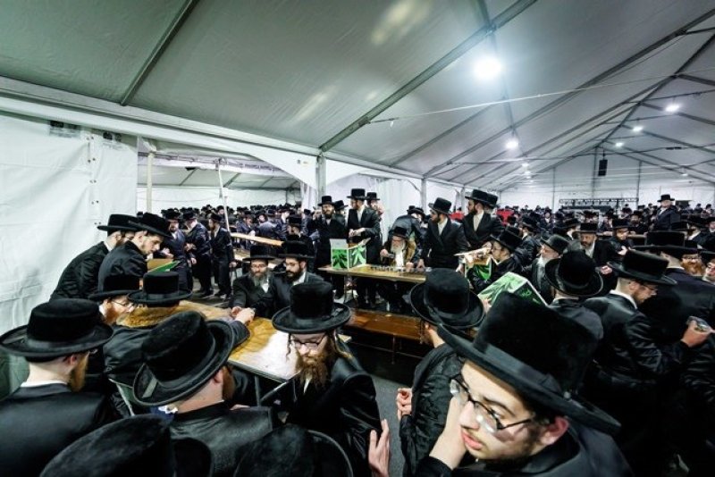 האחים לאנטשעווסקי, יוסי גולדברגר, אברומי בלום