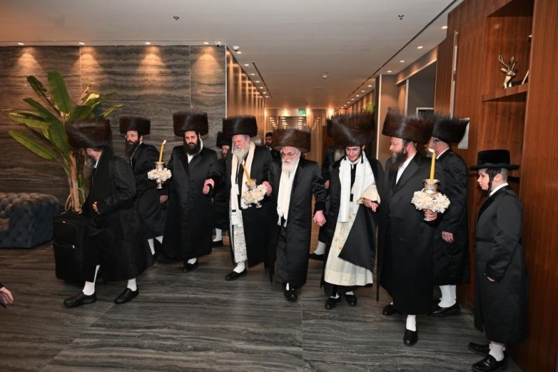 יהושע פרוכטר