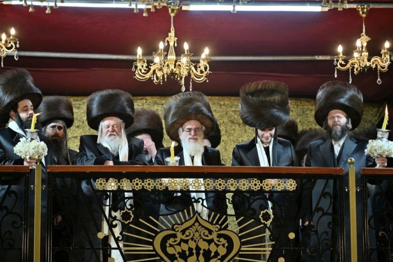 יהושע פרוכטר