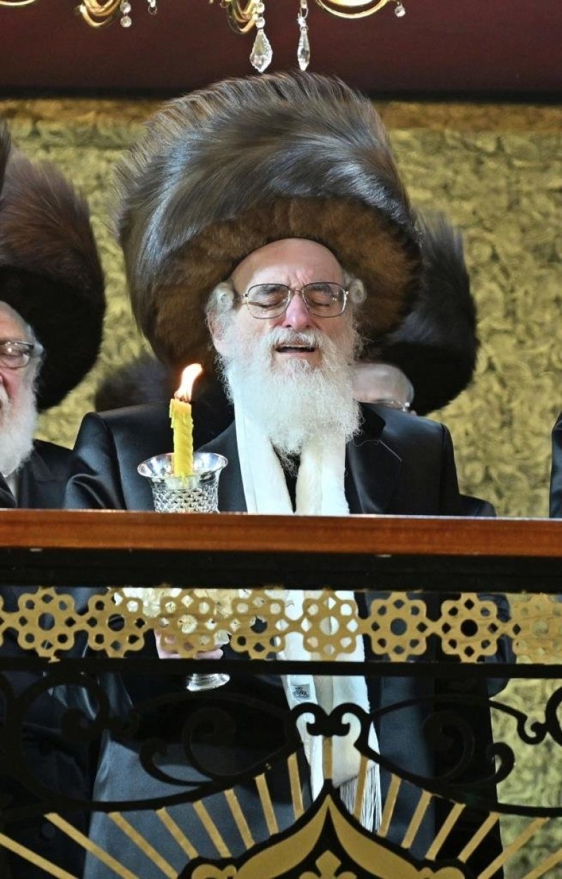 יהושע פרוכטר