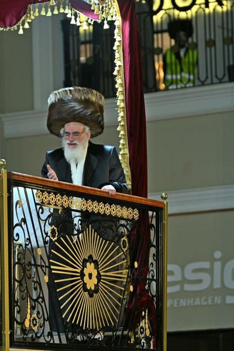 יהושע פרוכטר