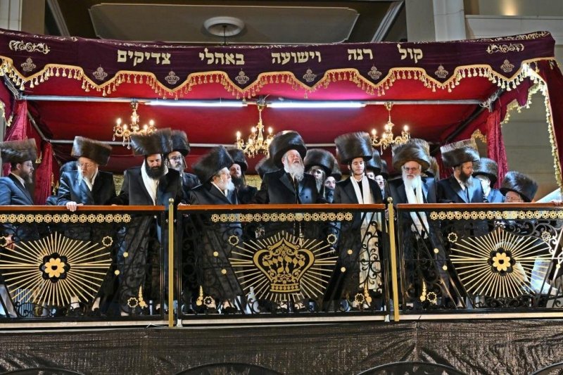 יהושע פרוכטר