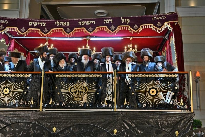 יהושע פרוכטר