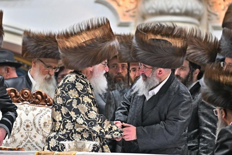 יהושע פרוכטר