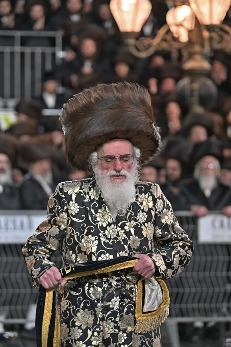 יהושע פרוכטר