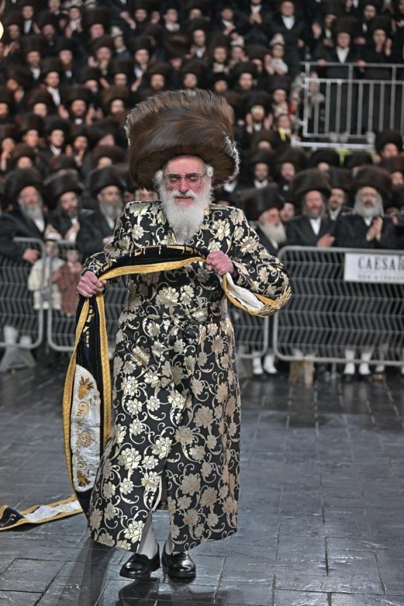 יהושע פרוכטר