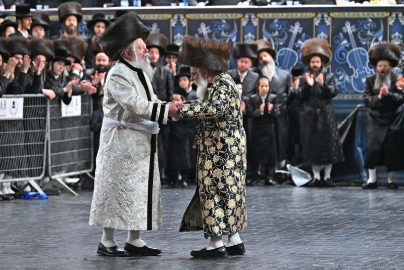 יהושע פרוכטר