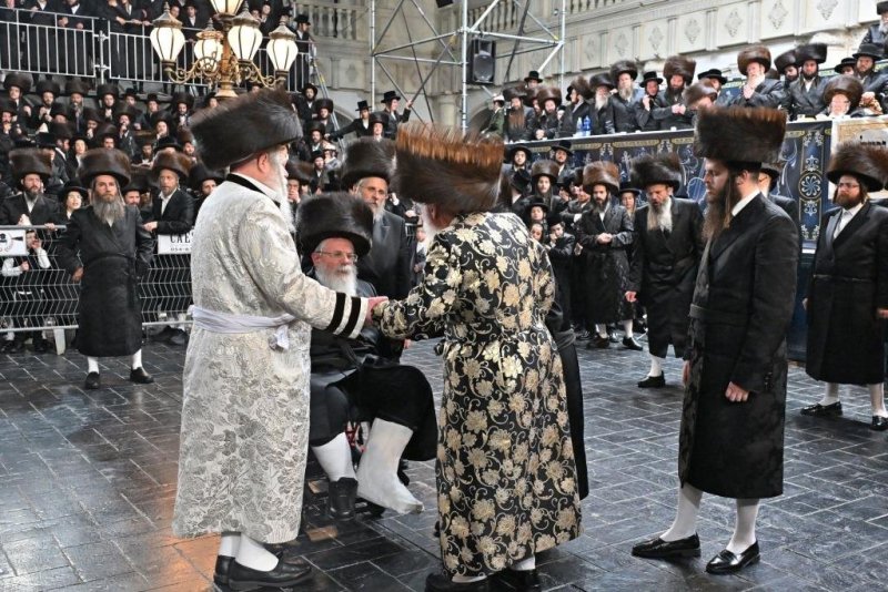 יהושע פרוכטר