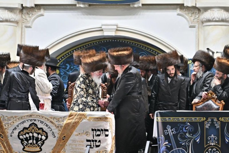 יהושע פרוכטר